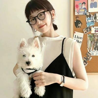 情陷撒哈拉